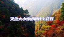 滅絕大小蟑螂用什么藥好