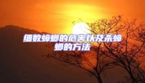 細數蟑螂的危害以及殺蟑螂的方法