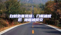 白蟻危害現(xiàn)場:門框被咬爛 地板被咬空