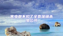 害蟲都不見了全靠深圳殺蟲公司
