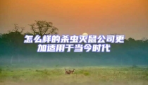 怎么樣的殺蟲滅鼠公司更加適用于當(dāng)今時代