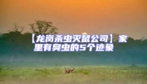 【龍崗殺蟲滅鼠公司】家里有臭蟲的5個跡象