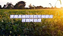 使用殺蟑膠餌后死蟑螂應該如何處理
