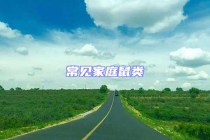 常見(jiàn)家庭鼠類