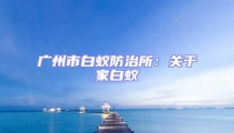 廣州市白蟻防治所:關于家白蟻