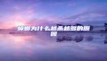 蟑螂為什么越殺越多的原因