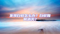 發(fā)現(xiàn)白蟻怎么辦?白蟻如何消滅?