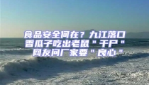 食品安全何在？九江落口香瓜子吃出老鼠＂干尸＂ 網(wǎng)友問廠家要＂良心＂