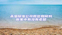 殺蟲除蟲公司教您如何判斷家中有沒有老鼠