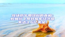 牧場(chǎng)奶牛甩飼料的真相:蚊蠅紛飛導(dǎo)致每年經(jīng)濟(jì)損失達(dá)3.6億美金!