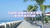 白蟻防治最佳方法之如何發現并殺滅白蟻