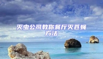 滅蟲公司教你餐廳滅蒼蠅方法