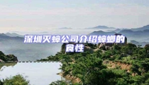 深圳滅蟑公司介紹蟑螂的食性