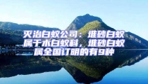 滅治白蟻公司:堆砂白蟻屬于木白蟻科,堆砂白蟻屬全國訂明的有9種