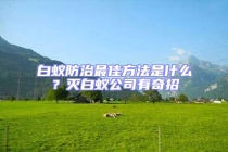 白蟻防治最佳方法是什么？滅白蟻公司有奇招