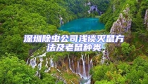 深圳除蟲公司淺談滅鼠方法及老鼠種類