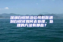 深圳白蟻防治公司教你遇到白蟻該如何去處理，處理的方法有那些？