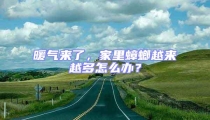 暖氣來了,家里蟑螂越來越多怎么辦?