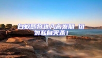 白蟻即將進入高發(fā)期 切勿私自滅殺!
