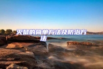 滅鼠的簡單方法及防治方法    