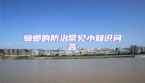 蟑螂的防治常見小知識問答