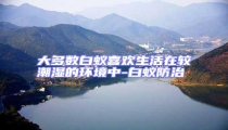 大多數白蟻喜歡生活在較潮濕的環境中-白蟻防治