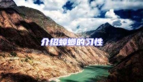 介紹蟑螂的習性