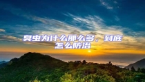臭蟲為什么那么多,到底怎么防治