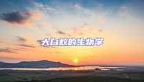 大白蟻的生物學