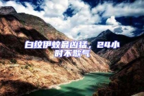 白紋伊蚊最兇猛，24小時(shí)不歇?dú)? uk-img class=