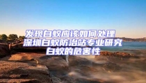 發(fā)現(xiàn)白蟻應(yīng)該如何處理 深圳白蟻防治站專業(yè)研究白蟻的危害性