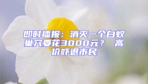 即時播報:消滅一個白蟻巢穴要花3000元? 高價嚇退市民