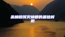 殺蟑膠餌滅蟑螂的最佳時機