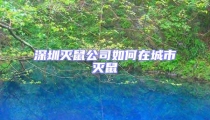深圳滅鼠公司如何在城市滅鼠