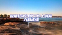 深圳在滅白蟻工作上的努力和成績