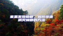 家里發(fā)現(xiàn)蟑螂,如何快速消滅蟑螂的方法