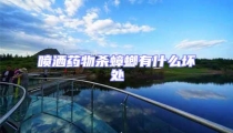 噴灑藥物殺蟑螂有什么壞處