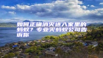 如何正確消滅進(jìn)入家里的螞蟻？專業(yè)滅螞蟻公司告訴你