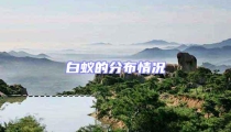 白蟻的分布情況