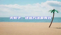 滅蚊子,這些方法最有效