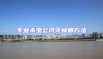 專業(yè)殺蟲公司滅蟑螂方法