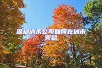 深圳消殺公司如何在城市滅鼠