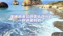 深圳消殺公司怎么區(qū)分白蟻還是螞蟻