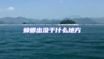 蟑螂出沒于什么地方