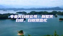 專業(yè)滅白蟻公司:別墅滅白蟻,白蟻幫您忙