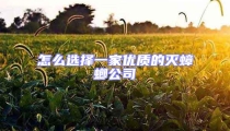 怎么選擇一家優質的滅蟑螂公司