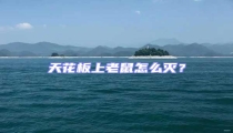天花板上老鼠怎么滅?