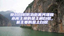 炮臺白蟻防治危害河堤和水庫土壩的是土棲白蟻,最主要的是土白蟻