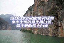 炮臺白蟻防治危害河堤和水庫土壩的是土棲白蟻，最主要的是土白蟻