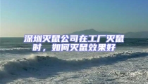 深圳滅鼠公司在工廠滅鼠時,如何滅鼠效果好